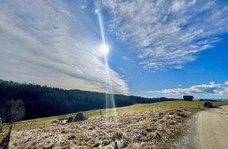 Grundstück zu kaufen in 8301 Laßnitzhöhe, Südöstlich ausgerichtetes Baugrundstück in der Gemeinde Laßnitzhöhe