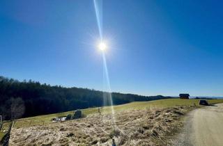 Grundstück zu kaufen in 8301 Laßnitzhöhe, Südöstlich ausgerichtetes Baugrundstück in der Gemeinde Laßnitzhöhe