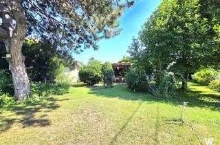 Grundstück zu kaufen in 2103 Langenzersdorf, Großzügiges Kleingartengrundstück mit Haus | ca. 1436 m2 Eigengrund | +++TEILBAR+++ | ganzjähriges Wohnen
