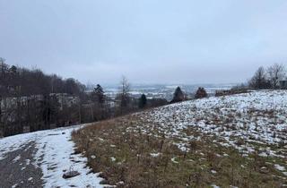 Grundstück zu kaufen in 4531 Kematen an der Krems, 4001 m² großes Grundstück in Kematen an der Krems zu kaufen