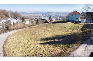 Grundstück zu kaufen in 4531 Kematen an der Krems, 4001 m² großes Grundstück in Kematen an der Krems zu kaufen