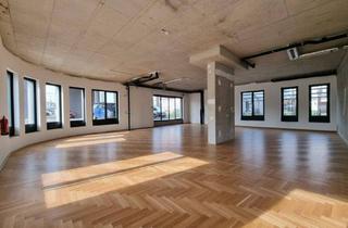 Büro zu mieten in Willi-Gruber-Straße, 3100 Sankt Pölten, Erstbezug: Moderne Gewerbefläche in zentraler Lage mit vielfältigen Nutzungsmöglichkeiten