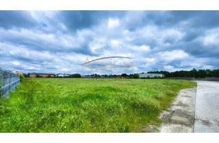 Grundstück zu kaufen in 2285 Leopoldsdorf im Marchfelde, UNBEBAUTES BETRIEBSBAUGRUND 12.490m