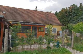 Haus mieten in 2604 Theresienfeld, Haus mit Garten zu vermieten - Miete inkl. Heizkosten!!