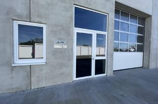 Gewerbeimmobilie mieten in 2242 Prottes, Moderne Gewerbehallen zu vermieten