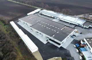 Gewerbeimmobilie mieten in 2242 Prottes, Moderne Gewerbehallen zu vermieten