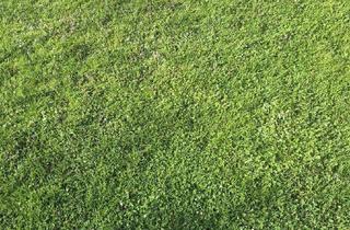 Grundstück zu kaufen in 2020 Hollabrunn, Bauträgergrundstück im Zentrum von Hollabrunn