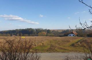 Grundstück zu kaufen in 2122 Pfösing, Wohnen im Grünen - Zwei Baugrundstücke in Pfösing