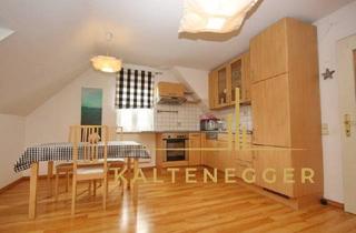 Wohnung mieten in 2620 Neunkirchen, Perfekte Single-Wohnung