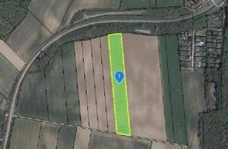 Gewerbeimmobilie kaufen in 2124 Niederkreuzstetten, TOLLE ACKERFLÄCHE IN SÜDSEITIGER AUSRICHTUNG MIT GUTER BONITÄT IN NIEDERKREUZSTETTEN