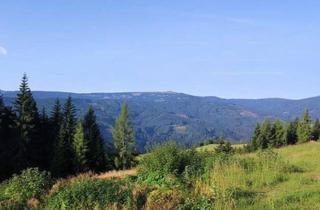 Grundstück zu kaufen in 8742 Obdach, Über den Wolken kann die Freiheit nur grenzenlos sein- Alpen-Baugrundstück, voll aufgeschlossen auf 1.400 Metern Seehöhe!