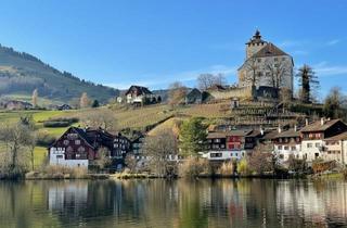 Haus kaufen in Schloss Werdenberg/Werdenbergersee, 9470 Aich, Exklusives historisches Domizil in Werdenberg/Schweiz