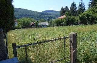 Grundstück zu kaufen in An Der Viehhoferin 25, 3021 Pressbaum, Baugrund in bester Lage von Preßbaum zu verkaufen