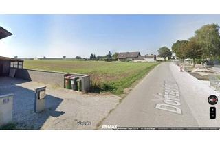 Grundstück zu kaufen in 2295 Oberweiden, SONNIG GELEGENE GRUNDSTÜCKE IN RUHELAGE - OBERWEIDEN