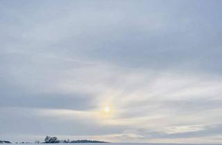 Grundstück zu kaufen in 4203 Altenberg bei Linz, Traumhaftes Baugrundstück mit Altbestand in sehr guter Lage!