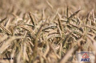 Grundstück zu kaufen in 4753 Taiskirchen im Innkreis, Verkaufe schöne Ackerfläche mit ca. 1,5 Hektar!