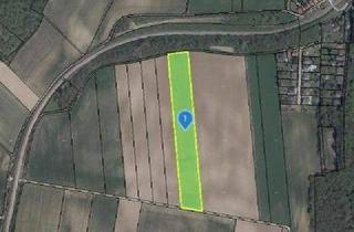 Gewerbeimmobilie kaufen in 2124 Niederkreuzstetten, TOLLE ACKERFLÄCHE IN SÜDSEITIGER AUSRICHTUNG MIT GUTER BONITÄT IN NIEDERKREUZSTETTEN