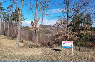 Grundstück zu kaufen in 7540 Güssing, Sonniges Grundstück in Ruhelage