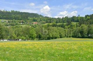 Grundstück zu kaufen in 9562 Himmelberg, SCHNÄPPCHEN - IDEAL FÜR JUNGE FAMILIEN