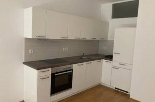Wohnung mieten in 8422 Sankt Nikolai ob Draßling, Geförderter Wohnbau St. Nikolai ob Draißling - 2 Zimmer mit Terrasse