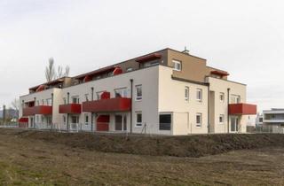 Wohnung mieten in Giglinger Straße 2-6, 2522 Oberwaltersdorf, JUNGES WOHNEN: Starterwohnung mit kleinen Garten