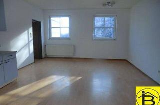 Wohnung mieten in 3100 Sankt Pölten, 15491 Mietwohnung in der Nähe des Krankenhauses!