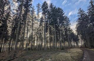 Gewerbeimmobilie kaufen in 4840 Vöcklabruck, Eigener Wald als Realwert – gepflegter Forst mit sehr guter Zufahrt