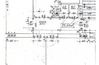Wohnung mieten in 1210 Wien, Sonnige und ruhige 3 Zimmerwohnung, 76m² in Floridsdorf