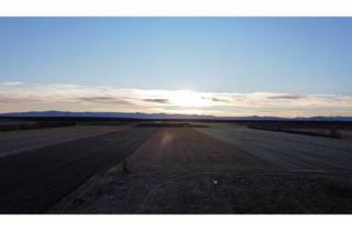 Grundstück zu kaufen in 2731 Sankt Egyden am Steinfeld, Den Traum eines eigenen Hauses einen weiteren Schritt näher kommen - Eckrundstück in ruhiger Lage mit Grünblick