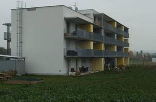 Wohnung mieten in Josef-Lind-Straße 11/17, 8230 Hartberg, 3-Zimmer-Wohnung mit RIESENBALKON - geförderte Miete ODER geförderte Miete mit Kaufoption - 3 Zimmer