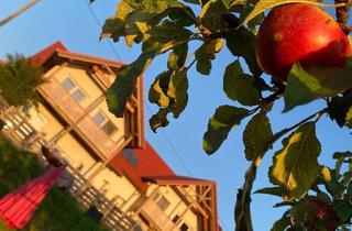 Haus kaufen in Krobotek 68, 8382 Weichselbaum, Idyllisches Paradies im Südburgenland