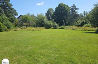 Grundstück zu kaufen in 2230 Gänserndorf, Neuer Preis! Fahnengrundstück in Gänserndorf Süd