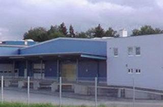 Lager mieten in 4910 Ried im Innkreis, Vielseitiges Gewerbeobjekt - Büro, Lager & Logistik in Bestlage