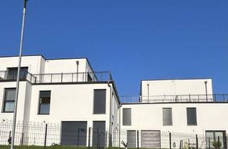 Haus mieten in 3434 Wilfersdorf, Neues Zuhause in Wilfersdorf bei Tulln : Erstbezug, 144,79m², 2 Stellplätze, Garten