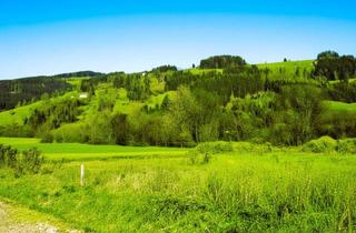Grundstück zu kaufen in 9462 Bad St. Leonhard im Lavanttal, Am Puls der Zeit- Gewerbegrundstücke an der Autobahnauffahrt Bad St. Leonhard Anschlussstelle A2 in Richtung Klagenfurt und Richtung Graz