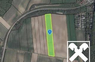 Grundstück zu kaufen in 2124 Niederkreuzstetten, TOLLE ACKERFLÄCHE IN SÜDSEITIGER AUSRICHTUNG MIT GUTER BONITÄT IN NIEDERKREUZSTETTEN