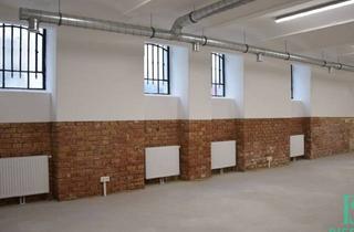 Büro zu mieten in Hamerling Park, 1080 Wien, Repräsentatives, generalsaniertes Souterrain-Loft - Außergewöhnlich und vielseitig Nutzbar!