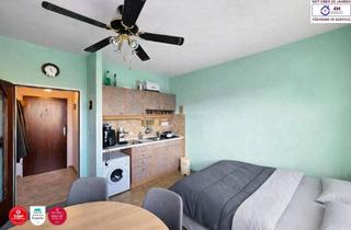 Wohnung kaufen in 2340 Mödling, Die klassische 1-Zimmer-Wohnung "immer vermietbar"