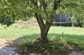 Haus kaufen in 1220 Wien, Einzigartige Lage Mitten in Aspern