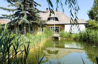 Einfamilienhaus kaufen in Donau, 1220 Wien, Stilvoll zeitloses Einfamilienhaus | 1220 Wien | 1000 m² Grundstück mit Schwimmteich