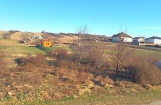 Grundstück zu kaufen in 7092 Winden am See, Sonniges Grundstück mit Weitblick – Eckgrundstück!