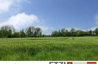 Grundstück zu kaufen in 4775 Taufkirchen an der Pram, 14 Grundstücke in Taufkirchen/Pram: Jetzt Haus inkl. Grund sichern!