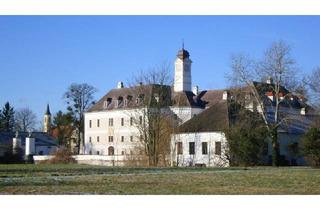 Wohnung mieten in 2435 Ebergassing, Herrschaftliches Wohnen im Schloss 142,85 m² 3,5 Zimmer Warmmiete!