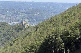 Grundstück zu kaufen in 8112 Gratwein, 170 ha Eigenjagd mit hochwertigem Wirtschaftswald