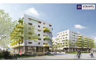 Büro zu mieten in Ottilie-Bondy-Promenade, 1210 Wien, Let's get down to your own business - Geschäftslokal mit vielseitigen Nutzungsmöglichkeiten und großen Schaufenstern