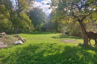 Haus kaufen in 3653 Weiten, Geräumiger Vierkanthof mit der Möglichkeit der Tierhaltung