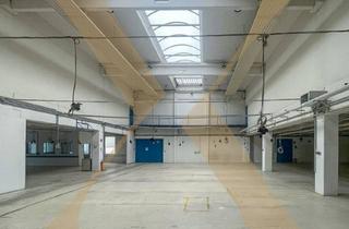 Lager mieten in 4052 Ansfelden, Großzügige Lager-/Produktionshalle mit sechs Sektionaltoren und Büro in Ansfelden zu vermieten! TEILBAR!