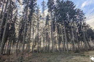 Grundstück zu kaufen in 4840 Vöcklabruck, Eigener Wald als Realwert - gepflegter Forst mit sehr guter Zufahrt