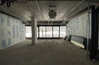 Büro zu mieten in Andromeda Tower, 1220 Wien, Erstbezug: Attraktive Geschäftsfläche