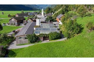 Gewerbeimmobilie mieten in 6882 Schnepfau, Schnepfau Großzügige, sehr vielseitige Gewerbefläche